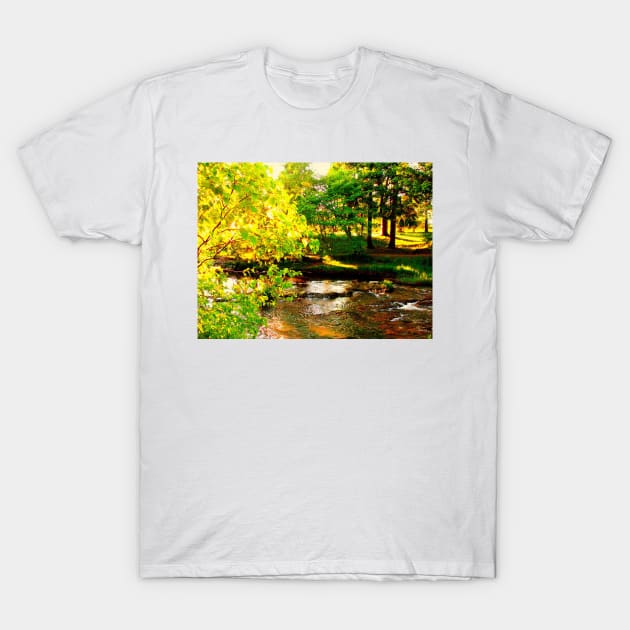 Bowring Park T-Shirt by Allison Prior Art